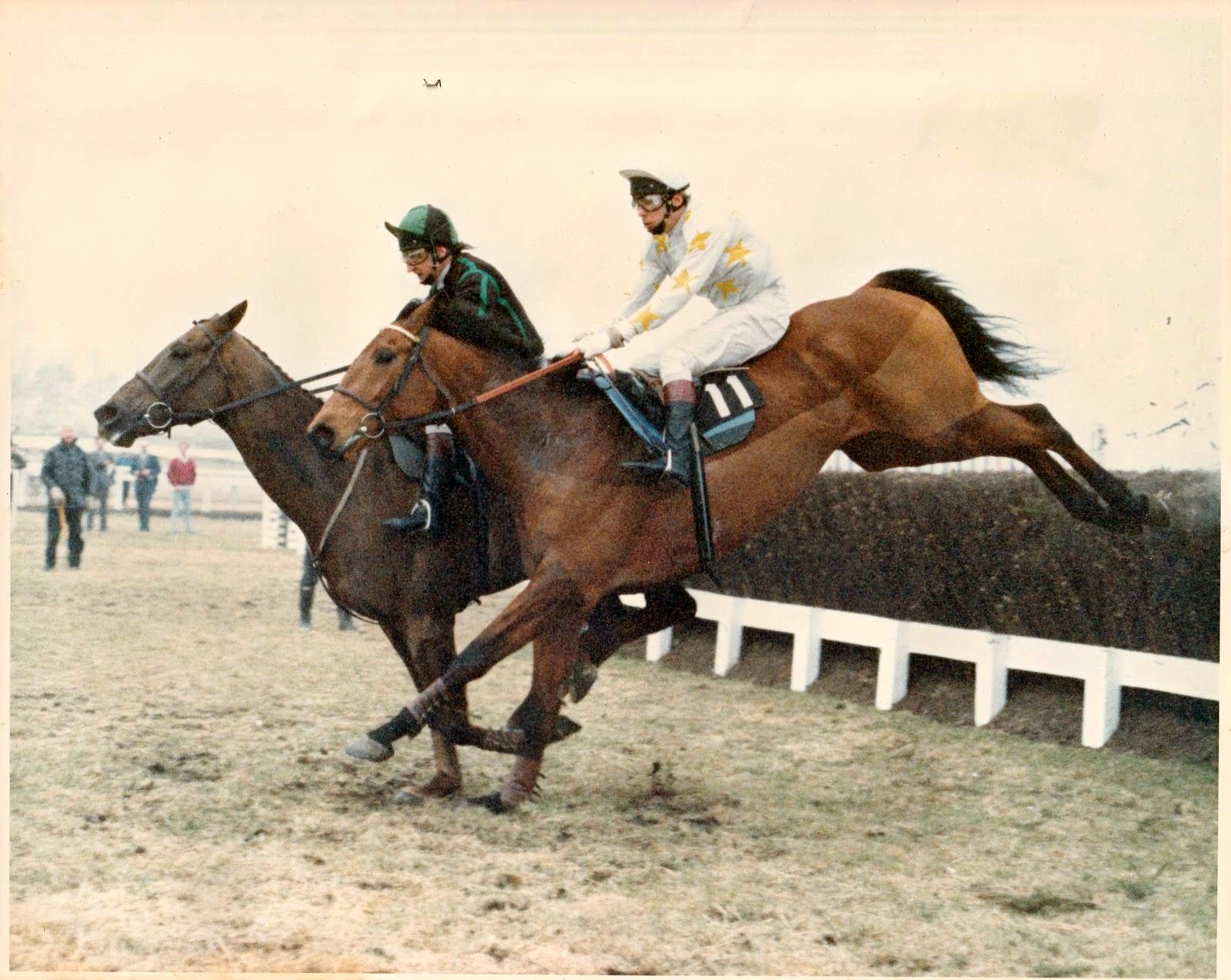 Ritz Club National Hunt Handicap Chase