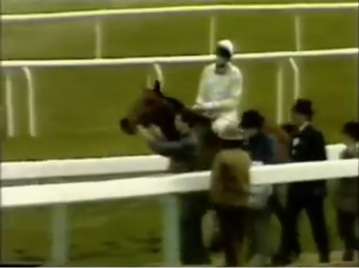 Charter Party in the Piper Champagne Golden Miller Handicap Chase