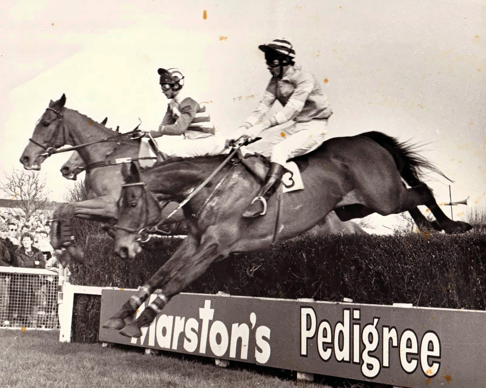 Charles Lewis Cup Handicap Chase