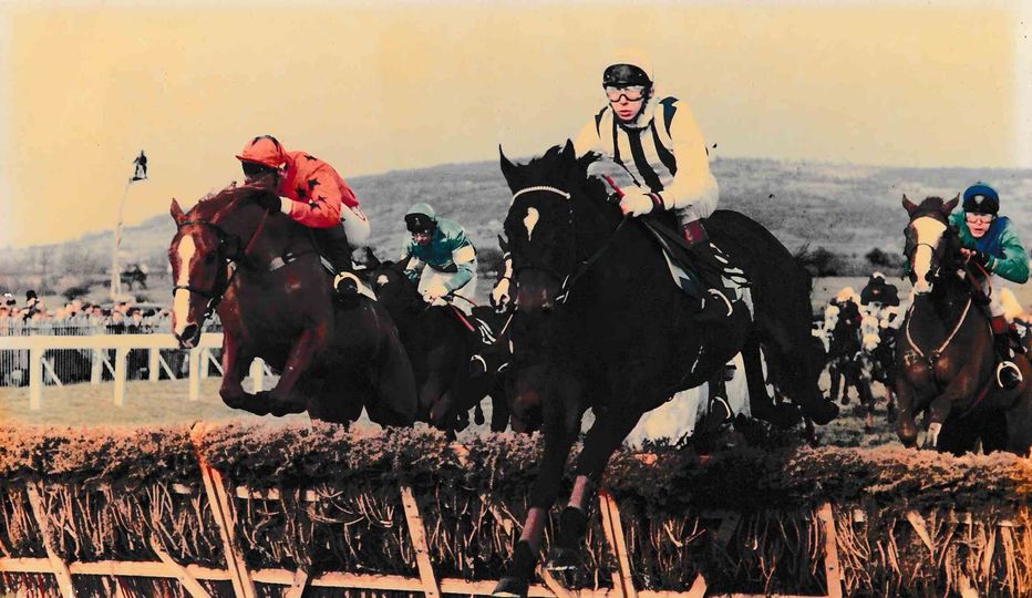 Coral Golden Hurdle Final (Handicap)