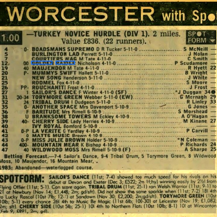 Turkey Novices Hurdle (Div 1)