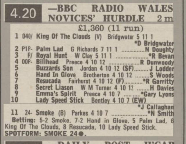 BBC Radio Wales Novices Hurdle