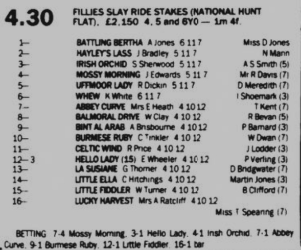 Fillies Slay Ride Stakes National Hunt Flat