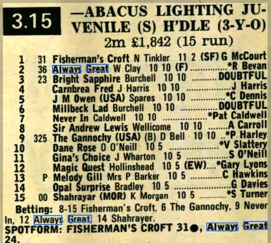 Abacus Lighting Juvenile Selling Hurdle