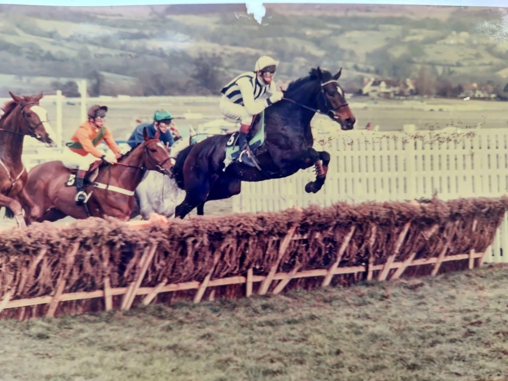 Coral Golden Hurdle Final (Handicap)